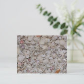 Muscheln von Sanibel Postkarte (Stehend Vorderseite)