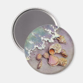 MUSCHELN von SHARON SHARPE Magnet (Vorderseite/Rückseite)