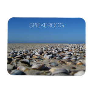 Muscheln, Wattenmeer, Spiekeroog Magnet