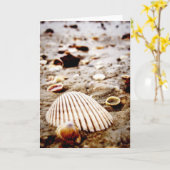 Muscheln zur Krabi Beach Card Karte (Gelbe Blume)