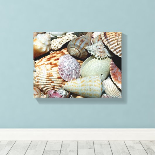 Muschelposter Leinwanddruck (Insitu (Holzboden))