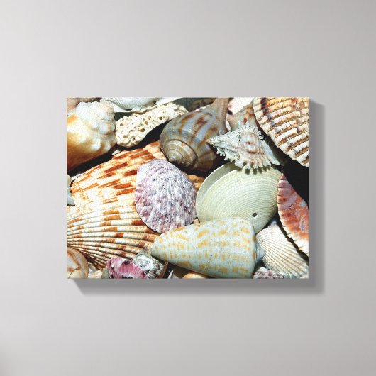 Muschelposter Leinwanddruck (Vorderseite)