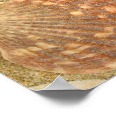 Muschelrahmen Poster (Ecke)