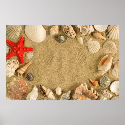 Muschelrahmen Poster (Vorne)