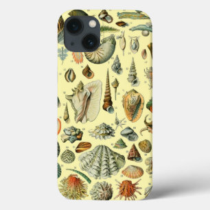 Muschelschale Molluske Klaffmuschel Elegante Klass Case-Mate iPhone Hülle