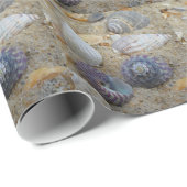 Muschelverpackungspapier Geschenkpapier (Rolleneckpunkt)