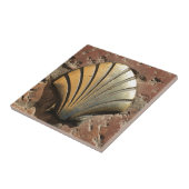 Muschelzeichen Goldel Camino, Plasterung, Leon, Fliese (Seite)