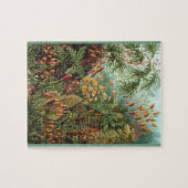 Muscinae - Ernst Haeckel 8x10 Puzzle (Horizontal)