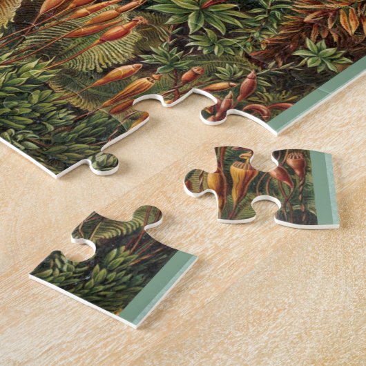 Muscinae - Ernst Haeckel 8x10 Puzzle (Seite)