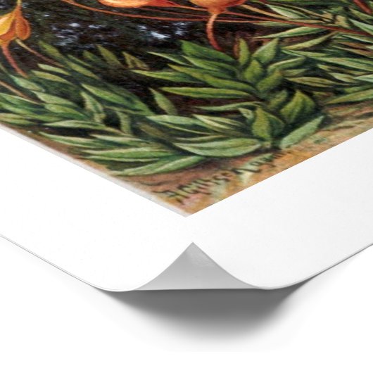 Muscinae Poster (Ecke)