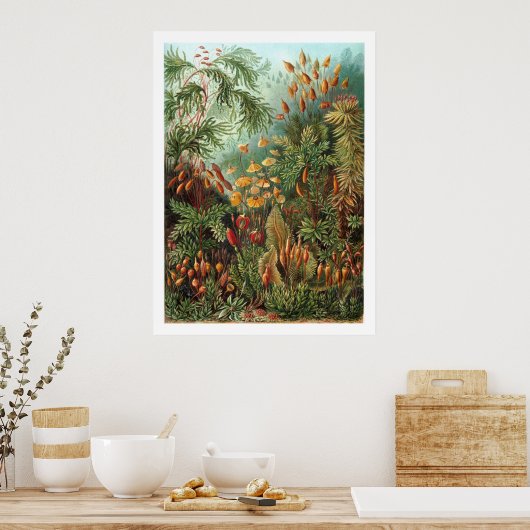 Muscinae Poster (Küche)