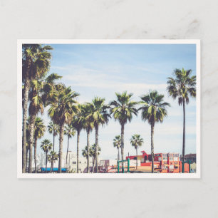 Muscle Beach Venice Beach Kalifornien Palme Postkarte