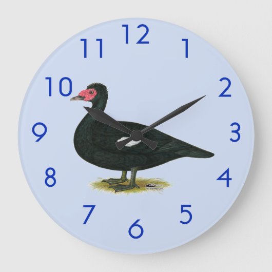 Muscovy Black Drake Große Wanduhr (Vorderseite)