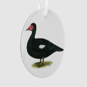 Muscovy Black Drake Ornament (Vorderseite)
