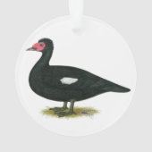 Muscovy Black Drake Ornament (Rückseite)
