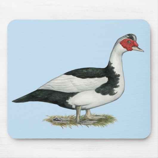 Muscovy Black Pied Drake Mousepad (Vorne)