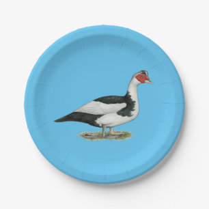 Muscovy Black Pied Drake Pappteller