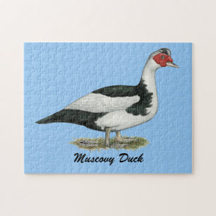 Muscovy Black Pied Drake Puzzle