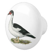 Muscovy Black Pied Duck Keramikknauf (Rechts)