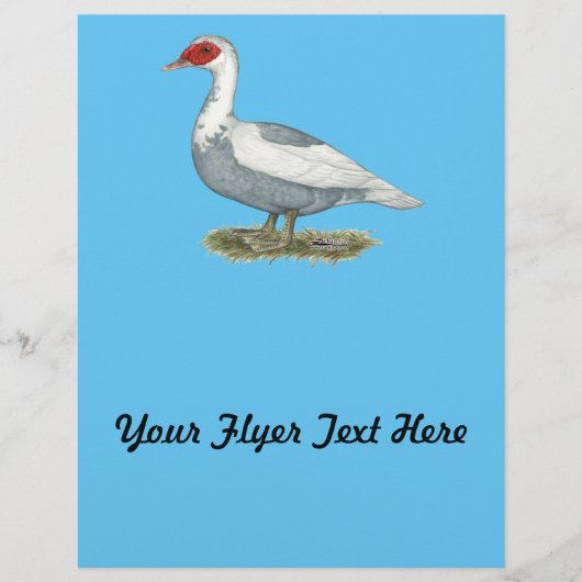 Muscovy Blue Pied Duck Flyer (Vorne)