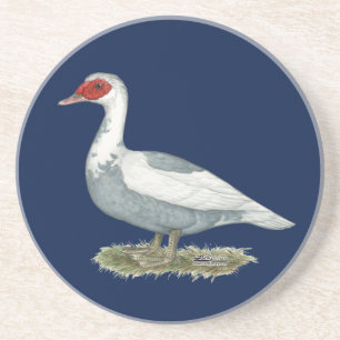 Muscovy Blue Pied Duck Getränkeuntersetzer