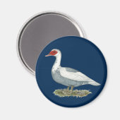 Muscovy Blue Pied Duck Magnet (Vorderseite/Rückseite)