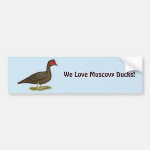 Muscovy Drake Chocolate Autoaufkleber