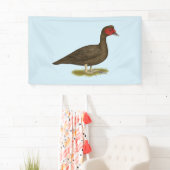 Muscovy Drake Chocolate Banner (Insitu)