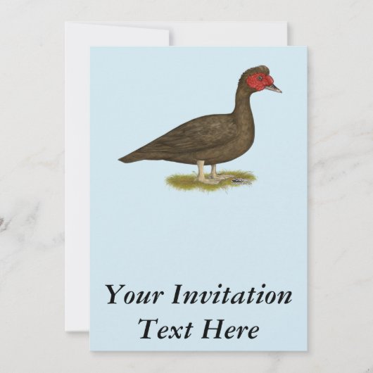 Muscovy Drake Chocolate Einladung (Vorderseite)