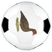 Muscovy Drake Chocolate Fußball (Gedreht)