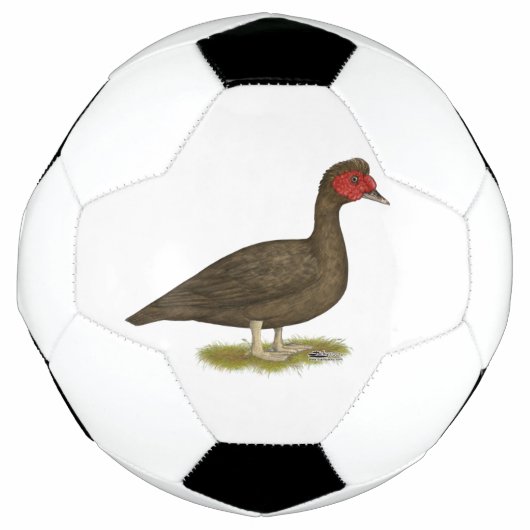 Muscovy Drake Chocolate Fußball (Vorderseite)
