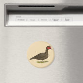 Muscovy Drake Chocolate Magnet (In Situ (Geschirrspüler))