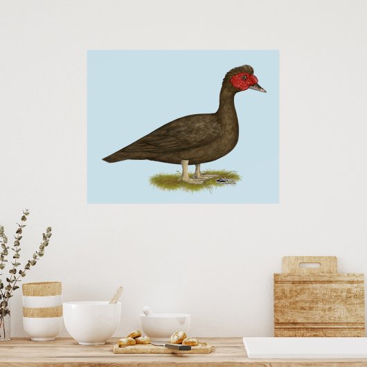Muscovy Drake Chocolate Poster (Küche)