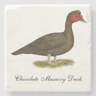 Muscovy Drake Chocolate Steinuntersetzer
