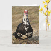 Muscovy Drake Karte (Gelbe Blume)