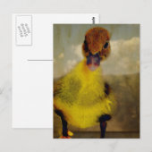 Muscovy Dreamin' Postkarte (Vorne/Hinten)