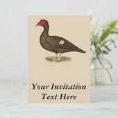 Muscovy Duck Chocolate Einladung (Stehend Vorderseite)