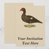 Muscovy Duck Chocolate Einladung (Vorne/Hinten)