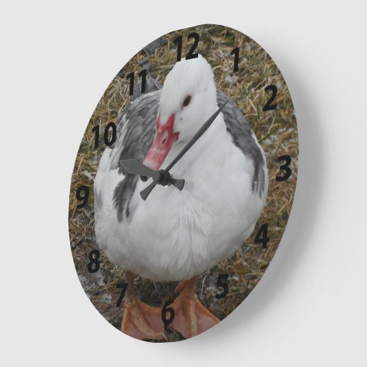 Muscovy Duck Clock Große Wanduhr (Winkel)