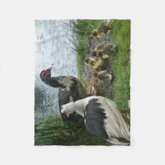 Muscovy Duck Familie in Regen Fleece Blanket (Vorderseite)