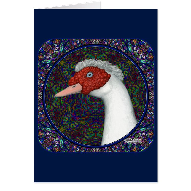 Muscovy Duck Head White (Vorne)