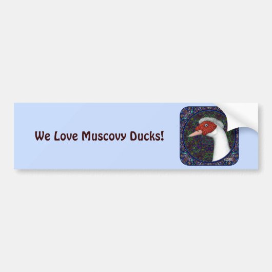 Muscovy Duck Head White Autoaufkleber (Vorne)