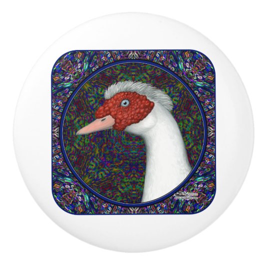 Muscovy Duck Head White Keramikknauf (Vorderseite)
