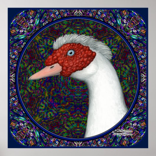 Muscovy Duck Head White Poster (Vorne)