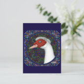 Muscovy Duck Head White Postkarte (Stehend Vorderseite)
