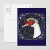 Muscovy Duck Head White Postkarte (Vorne/Hinten)