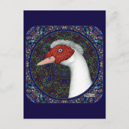 Muscovy Duck Head White Postkarte (Vorderseite)