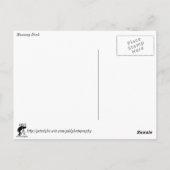 Muscovy Duck Postkarte (Rückseite)