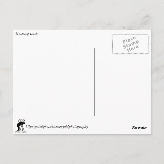 Muscovy Duck Postkarte (Rückseite)