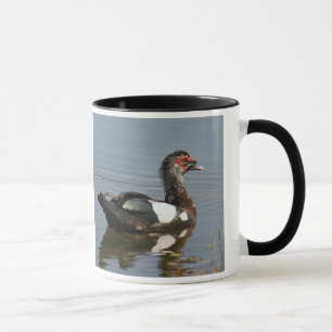 Muscovy Duck Tasse